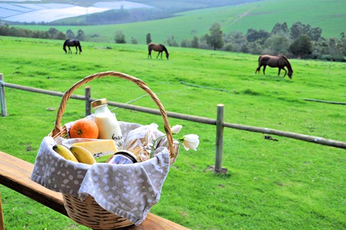Mysthill Farm (26)