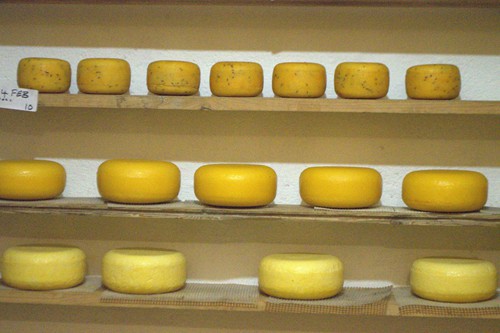 Mysthill Farm (30)